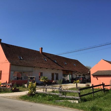 Gite Chez Marcel Et Bea La Chapelle-Saint-Sauveur  المظهر الخارجي الصورة